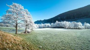 hiver-pelouse