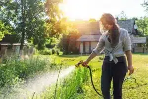conseils-pour-lentretien-de-votre-jardin-en-été