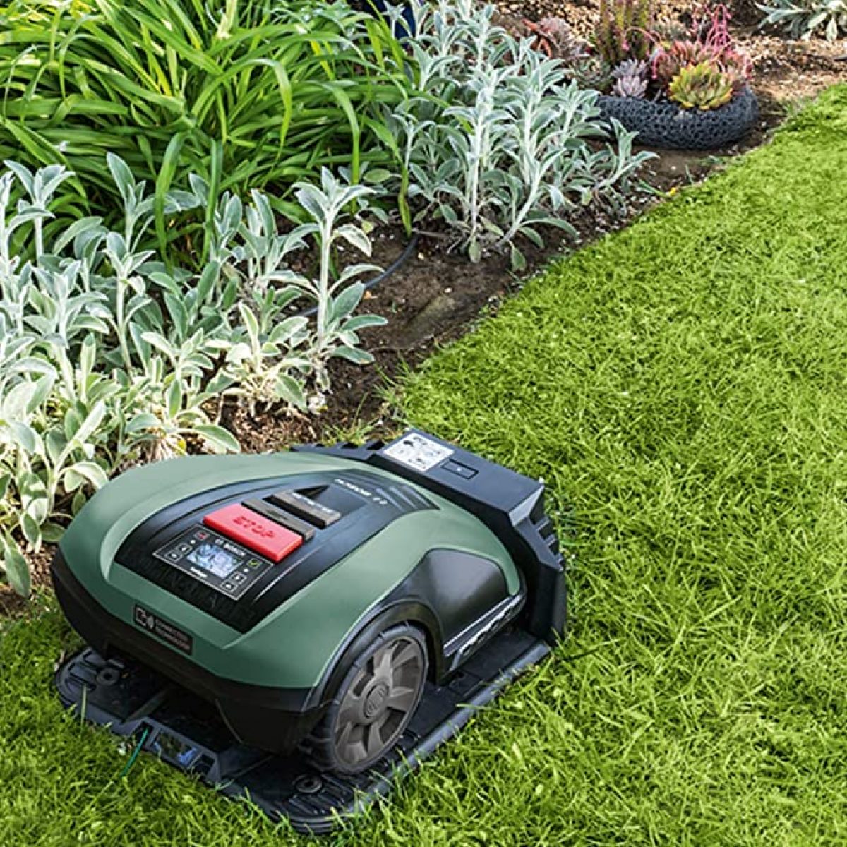 tondeuse-robot-bosch tondeuse-robot-bosch